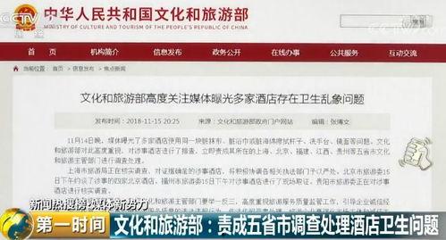 爆料奇特视频下载,带你走进未知世界