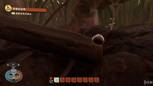 禁闭求生最新爆料,揭秘神秘禁闭室的生存挑战与惊悚真相 第3张 禁闭求生最新爆料,揭秘神秘禁闭室的生存挑战与惊悚真相 第3张